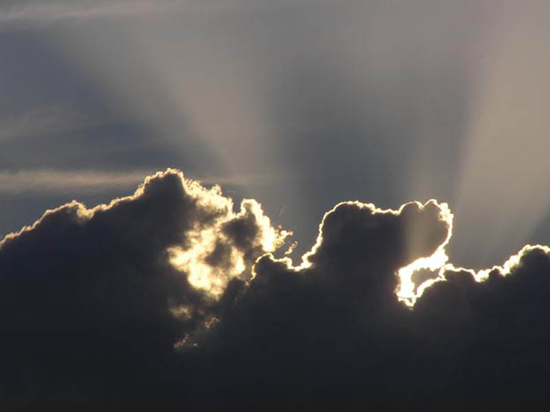 miroslavVajdic (139)